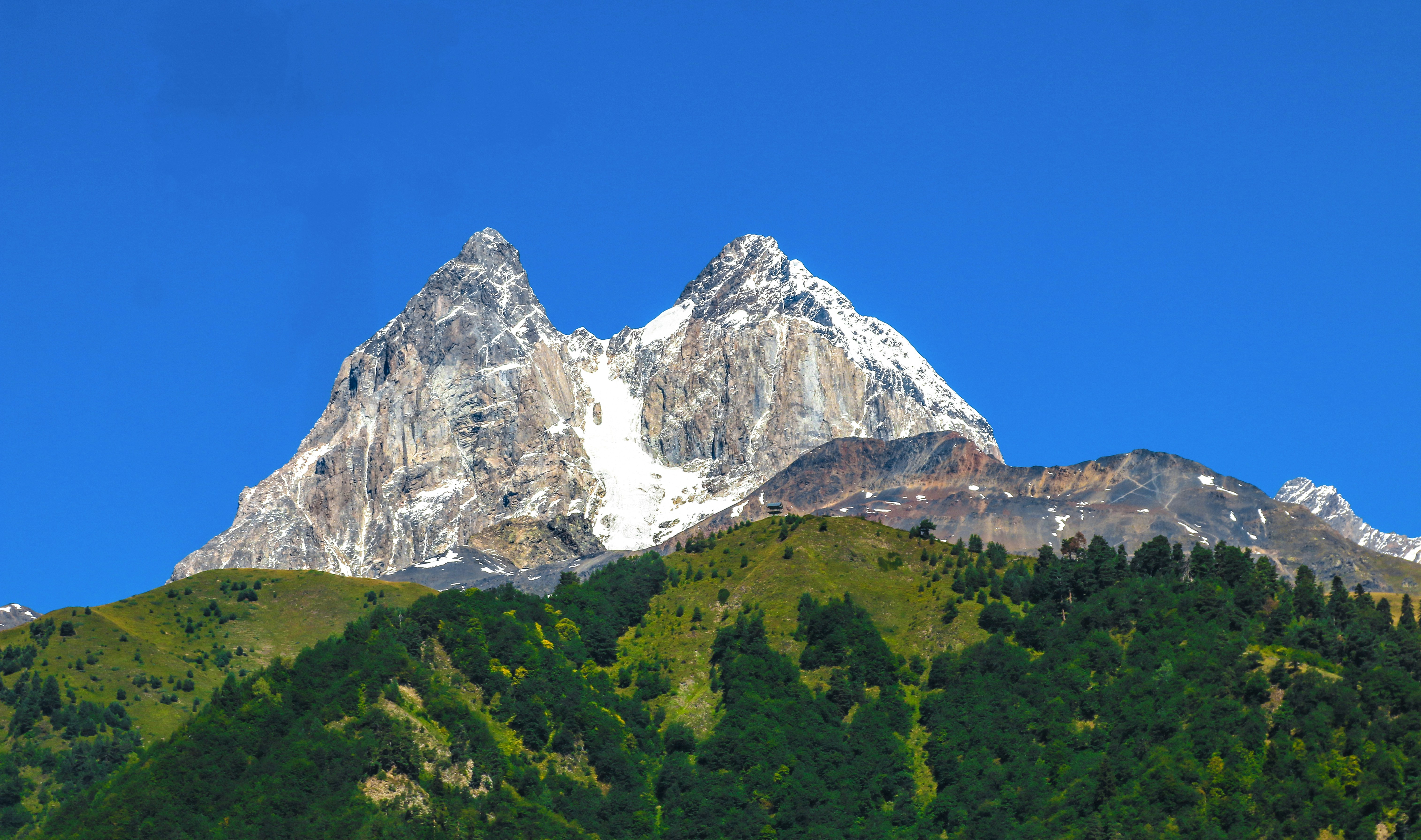 თბილისი